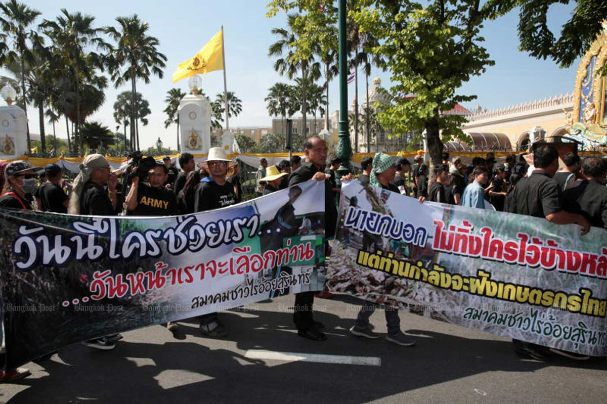 Ảnh 1: Nông dân Thái Lan biểu tình phản đối lệnh cấm 3 hoạt chất trừ cỏ - Nguồn: Bangkokpost