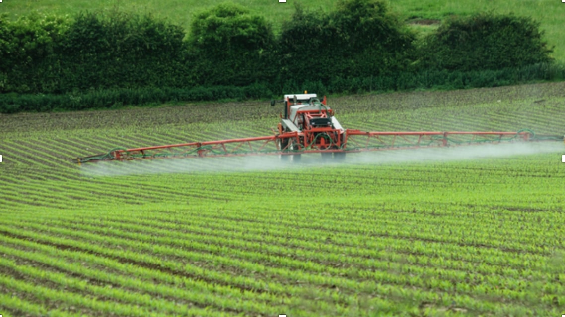 Ảnh: Glyphosate là một loại thuốc trừ cỏ được sử dụng phổ biến nhất trong nông nghiệp ở Hoa Kỳ, trên những cánh đồng đậu nành và các loại cây trồng biến đổi gen có khả năng kháng glyphosate. Thuốc trừ cỏ Roundup còn được sử dụng trên các bãi cỏ, sân golf và những nơi khác – Nguồn: The Scientist, Mikedabell.
