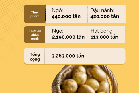 Hàn Quốc phê duyệt an toàn canh tác khoai tây biến đổi gen của Hoa Kỳ