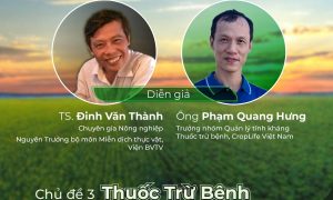 Kết quả ấn tượng từ chuỗi Livestream về Quản lý dịch hại bền vững của CropLife Việt Nam