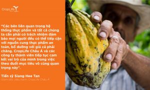 CropLife Châu Á hưởng ứng lời kêu gọi của Liên Hợp Quốc về các chính sách Thực phẩm & Nông nghiệp nhằm mang lại chế độ ăn uống lành mạnh  với giá cả phải chăng cho tất cả mọi người
