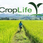 CropLife đánh giá cao sự ủng hộ của các chính phủ cho Tuyên bố quốc tế về Ứng dụng CNSH chính xác trong Nông nghiệp