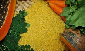Úc – Newzealand chính thức phê duyệt sử dụng Gạo vàng làm thực phẩm