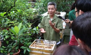 Tăng cường năng lực đánh giá rủi ro thuốc BVTV đối với loài thụ phấn trong hệ sinh thái nông nghiệp