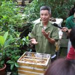 Tăng cường năng lực đánh giá rủi ro thuốc BVTV đối với loài thụ phấn trong hệ sinh thái nông nghiệp