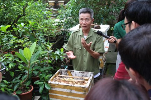 Tăng cường năng lực đánh giá rủi ro thuốc BVTV đối với loài thụ phấn trong hệ sinh thái nông nghiệp