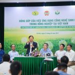 Ứng dụng CNSH trong canh tác ngô tại Việt Nam cho thấy các tác động tích cực về  tăng năng suất, nâng cao nhập nông hộ và cải thiện môi trường