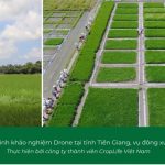 CropLife tham gia Diễn đàn Nông dân Quốc gia lần thứ VI với chủ đề “Nông dân với chuyển đổi số nông nghiệp”