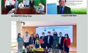 Hiệp hội Croplife Việt Nam ký hợp tác sử dụng thuốc bảo vệ thực phẩm an toàn, hiệu quả