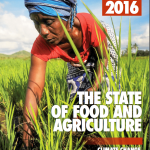 Báo cáo 2016 của Liên Hợp Quốc ủng hộ cây trồng công nghệ sinh học