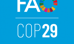 COP29: Phân tích mới của FAO lập danh mục các Đóng góp do Quốc gia Tự Quyết (NDCs), xác định cơ hội, khoảng trống và rủi ro liên quan đến các giải pháp khí hậu trong lĩnh vực nông nghiệp và thực phẩm