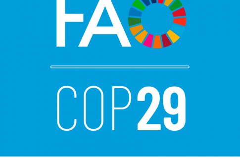 COP29: Phân tích mới của FAO lập danh mục các Đóng góp do Quốc gia Tự Quyết (NDCs), xác định cơ hội, khoảng trống và rủi ro liên quan đến các giải pháp khí hậu trong lĩnh vực nông nghiệp và thực phẩm