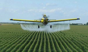 Chi phí trừ cỏ của nông dân Châu Á sẽ tăng lên từ 1,4 tới 1,9 tỷ đô la Mỹ nếu hạn chế sử dụng glyphosate