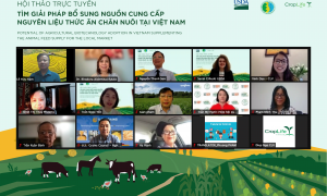 Giải pháp bổ sung nguồn cung cấp nguyên liệu thức ăn chăn nuôi tại Việt Nam