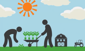 Top 5 xu hướng phát triển nông nghiệp bền vững và thân thiện với môi trường