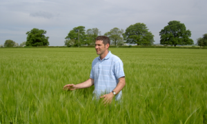 Phỏng vấn nông dân Anh: Thay đổi quan điểm về cây trồng biến đổi gen