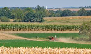 Góc nhìn từ Canada: Tầm quan trọng của các đổi mới về giống cây trồng và thuốc BVTV đối với khả năng tiếp cận và an toàn thực phẩm