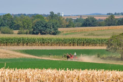 Góc nhìn từ Canada: Tầm quan trọng của các đổi mới về giống cây trồng và thuốc BVTV đối với khả năng tiếp cận và an toàn thực phẩm