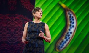 Chia sẻ về thực phẩm biến đổi gen của giáo sư Pamela Ronald tại Ted Talks