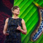Chia sẻ về thực phẩm biến đổi gen của giáo sư Pamela Ronald tại Ted Talks